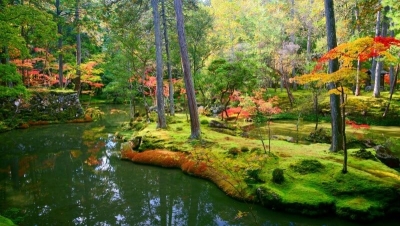 Saiho-Ji-Koke-Dera-Moss-Temple-in-Kyoto-Japan